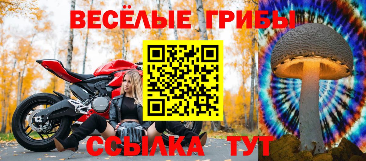 Елец  Псилоцибиновые грибы MAGIC MUSHROOMS  Вход с VPN 